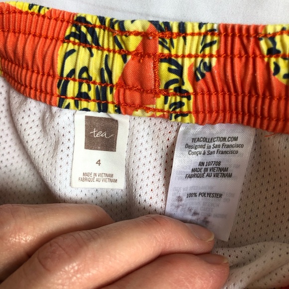 TEA Boys Size 4 Tiger Swim Trunks Draw String Animal Print - Picture 3 of 3
